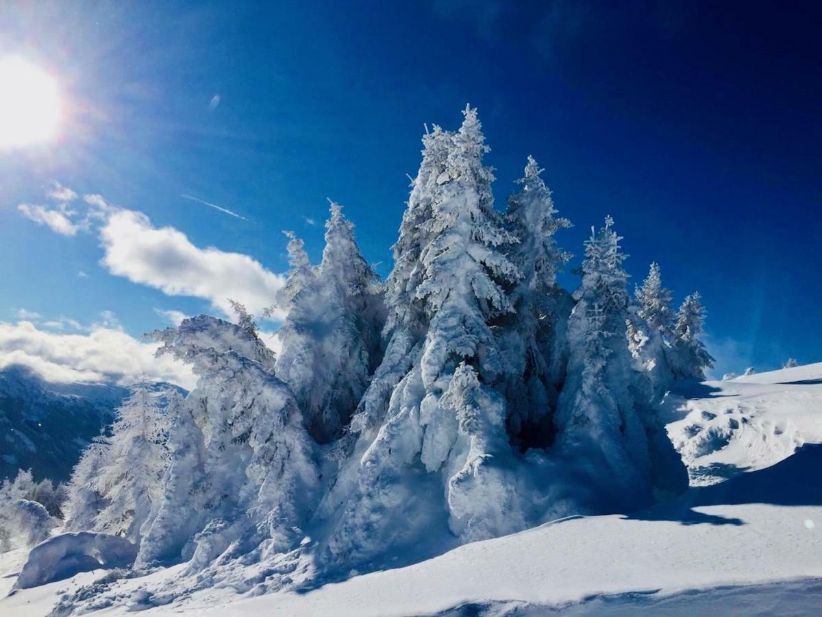 Haus Alpenrose Διαμέρισμα Trins Εξωτερικό φωτογραφία